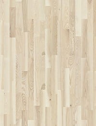 Jesion Milkshake Molti