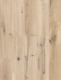 Dąb Ivory Grande
