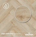 dąb_alabama.jpg
