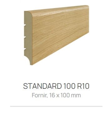 standard_100_r10.jpg