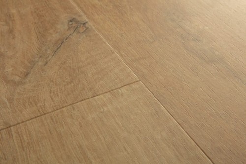 dab_bawelniany_naturalny._.jpeg