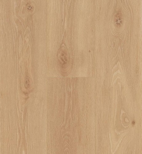 Ocean 8 V4 Bloom Warm Natural.jpg