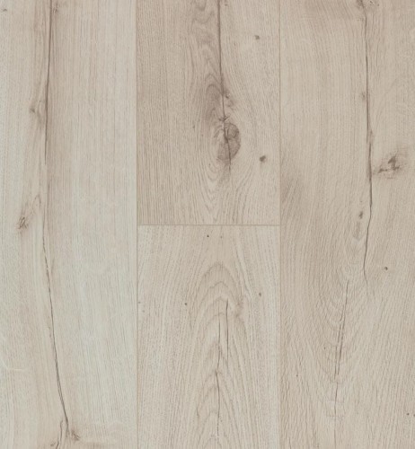 Ocean 8 V4 Canyon Light.jpg