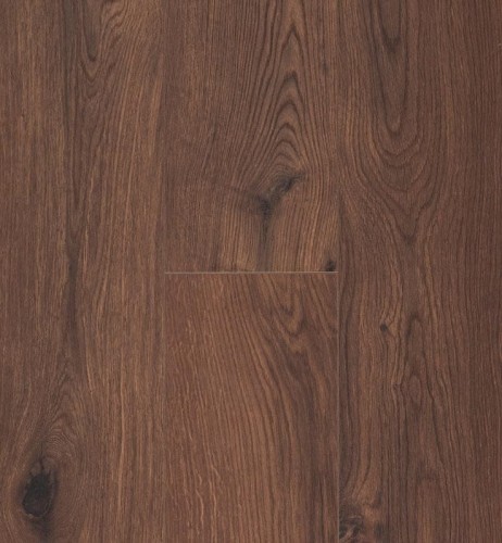 Ocean 8 V4 Gyant Warm Brown.jpg