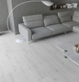 dabarktyczny_.webp